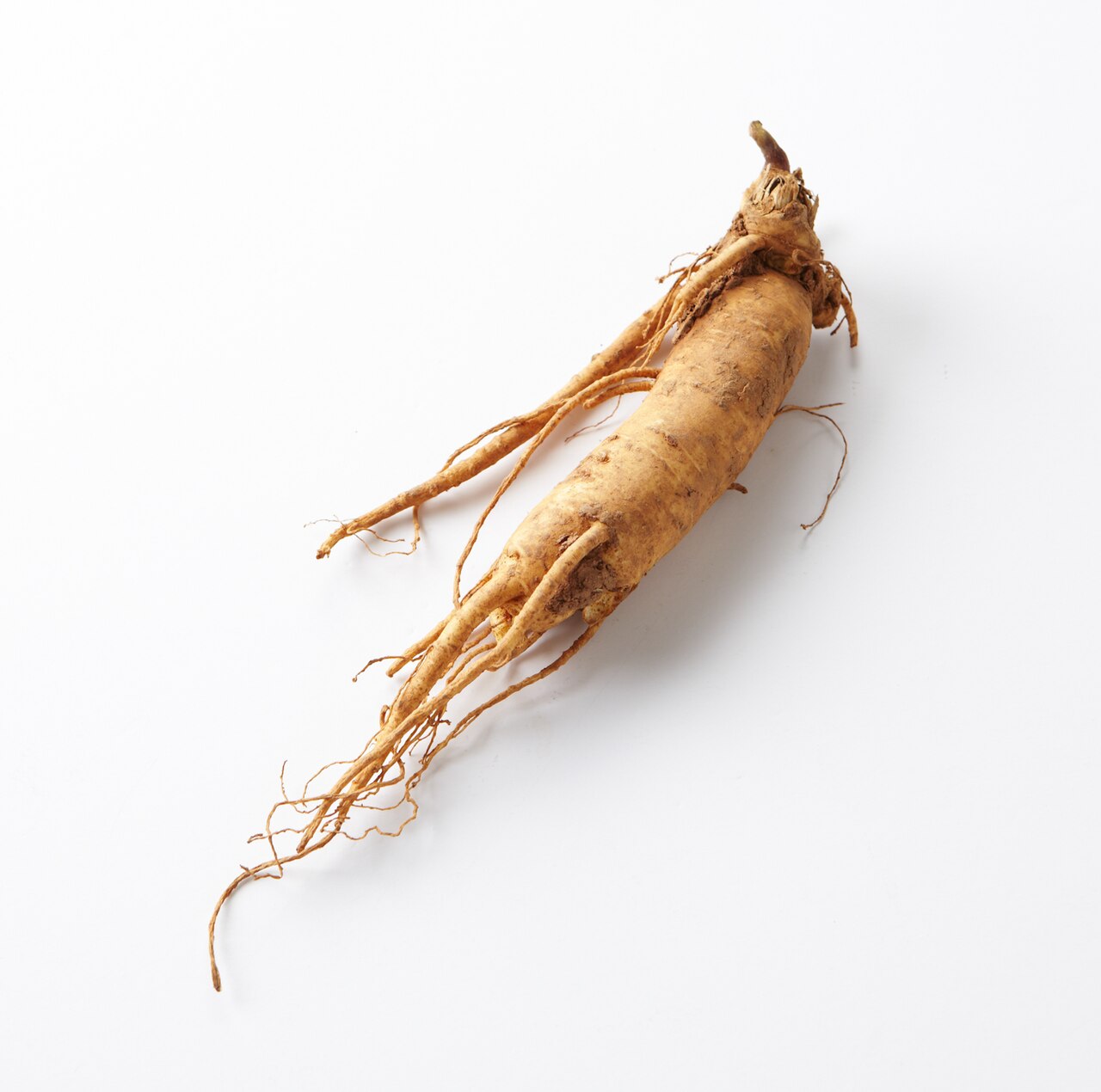 [Imej Akar Ginseng]